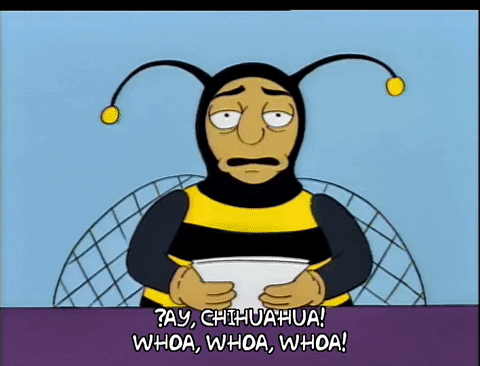 Season 5 GIF by The Simpsons