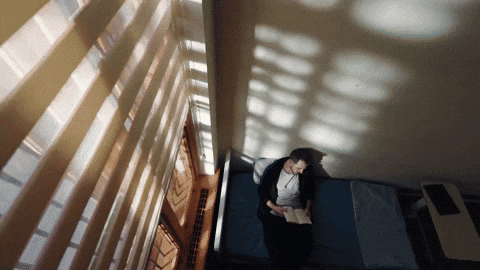 Mustafa GIF by Show TV