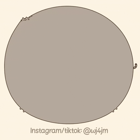 Pusheen GIF