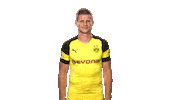 borussia dortmund yes Sticker by Bundesliga