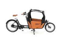 babboe_cargobike city transporter cargobike bakfiets GIF