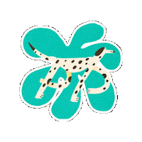 Gender Equality Sticker by WAGEC