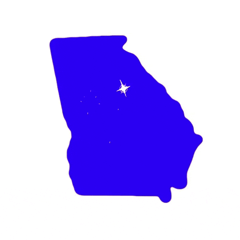 Election Georgia GIF