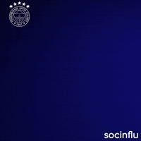 Milan Skriniar GIF by Socinflu