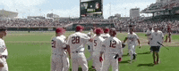 Nc State Baseball GIF by NCAA Championships