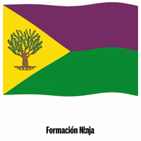 Castilla-La Mancha Bandera GIF by Formación Ninja