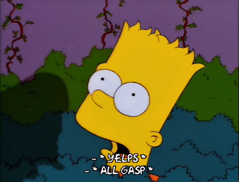 bart simpson belle GIF