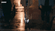 Alan Tudyk Roller Skating GIF by SYFY