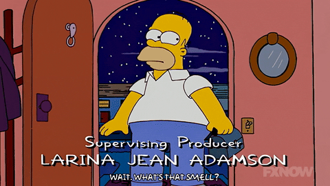 homer simpson GIF