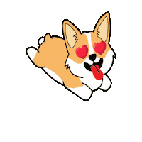 petiquepets corgi cute dog heart eyes petique Sticker