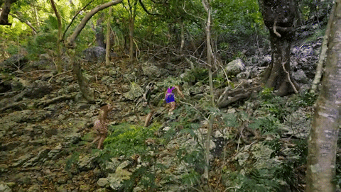 Matt Premiere GIF by Survivor CBS