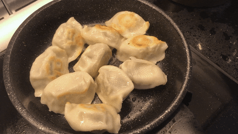 stacylunafoo giphyupload dimsum gyoza GIF