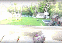 Happy Lets Go GIF by FaZe Clan