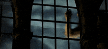 wes craven middle finger GIF