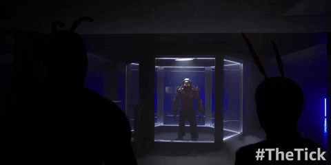 season 2 GIF by The Tick