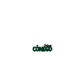 colegioconego messejana souconego conego alunonota10 Sticker