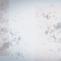 Rugby Union GIF by Bath Rugby