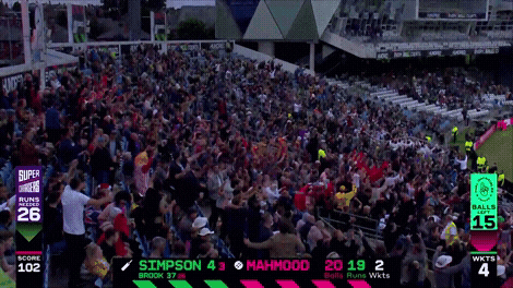 Cricket GIF by The Hundred