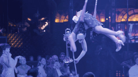 teatrozinzanni giphyupload GIF
