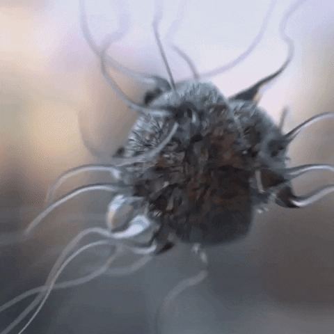 pylik life weird evil grow GIF