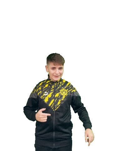 Fifa Efootball Sticker by Borussia Dortmund