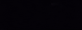 Hollywood Thornhill GIF by unfdcentral