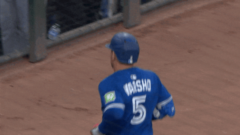 Blue Jays Baseball GIF by Toronto Blue Jays