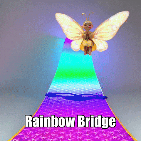 Rainbow Bridge Enlightenment GIF by BuddhaFlyJourney