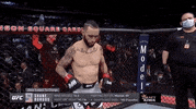 Shane Burgos Sport GIF by UFC