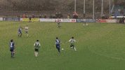 the new saints football GIF by TNSFC