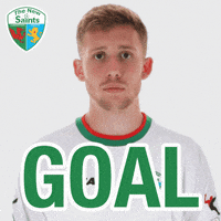 the new saints football GIF by TNSFC