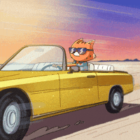 Car Mood GIF by Fox Fam