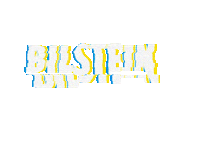 glitch logo Sticker by Bilstein