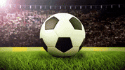 3D animated gif. Closeup of a digitized soccer ball resting on a green field as the entire scene rotates between logo overlays for the MLS Cup, the LA Football Club, and the Columbus Crew. Cameras flash and a large crowd fills stadiums in the distant background. 