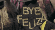 texas a&m graduation GIF by The College of Education & Human Development at Texas A&M University