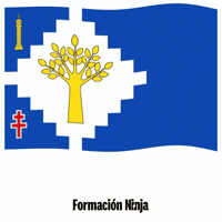 Flag Spain GIF by Formación Ninja