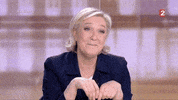 marine le pen GIF by franceinfo