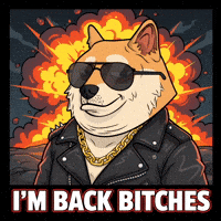 Shiba Inu Illustration GIF by Doge Pound