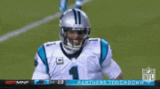 carolina panthers pat on the back GIF by NFL