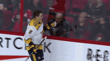 happy ice hockey GIF by NHL