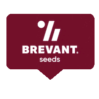 brevantseedsUS brevant brevantseedsus brevantseeds Sticker