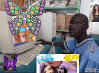 Butterfly Surfing GIF