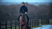 RolexGrandSlam horse horses rolex grand slam GIF