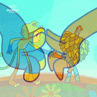 rio 2016 sport GIF by Olympic Channel