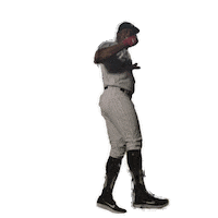 White Sox Dancing Sticker by Chicago White Sox