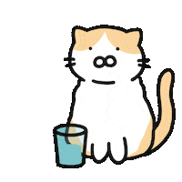 Cat Kitten Sticker