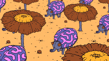 animation art GIF by Max Litvinov