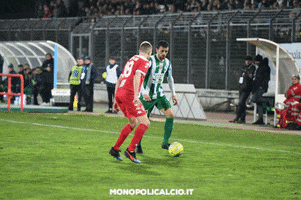 monopolicalcio calcio monopoli serie c donnarumma GIF