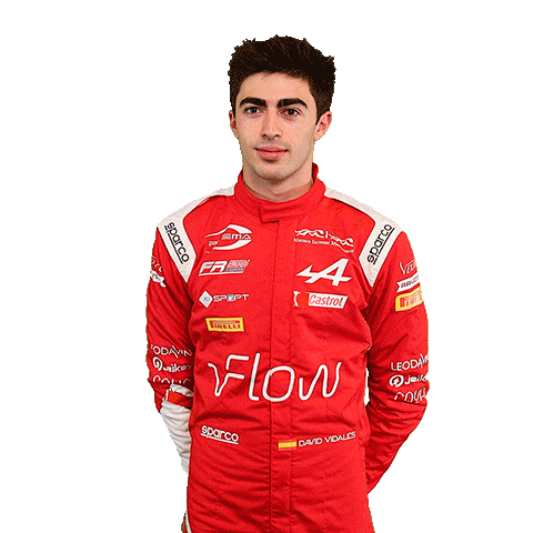 David Alpine Sticker by Prema Team