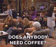 season 1 friends GIF